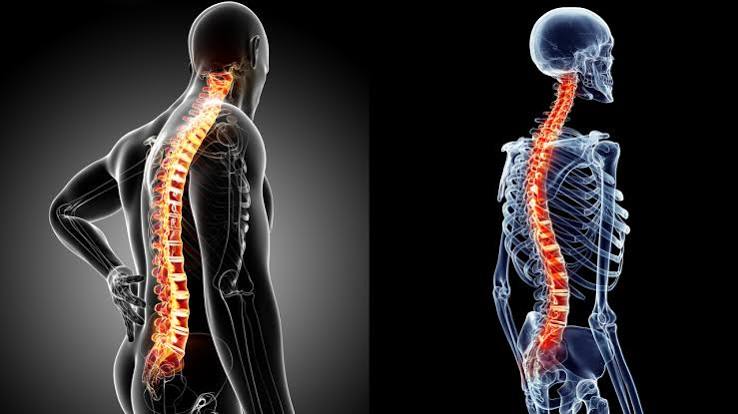Chiropractic Adjustment